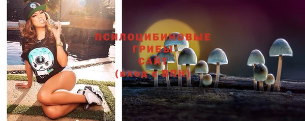 твердый Алексин