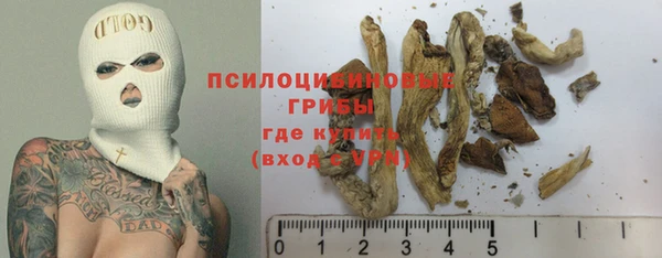 твердый Алексин